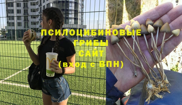 MESCALINE Абаза