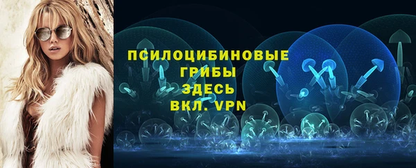таблы Алзамай