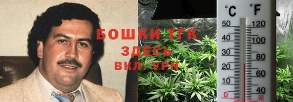 таблы Алзамай