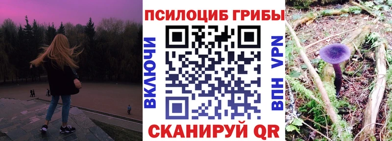 где продают наркотики  Батайск  Псилоцибиновые грибы Psilocybine cubensis 